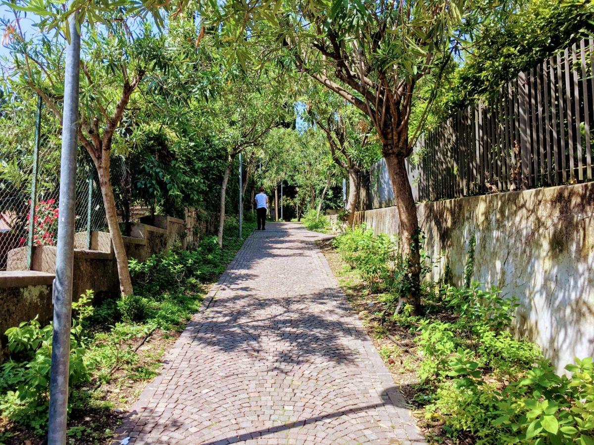 Appartement La Briciola Sirmione