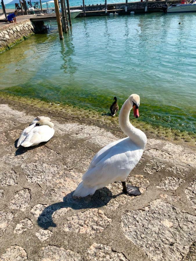 Juliet's Garda Sirmione