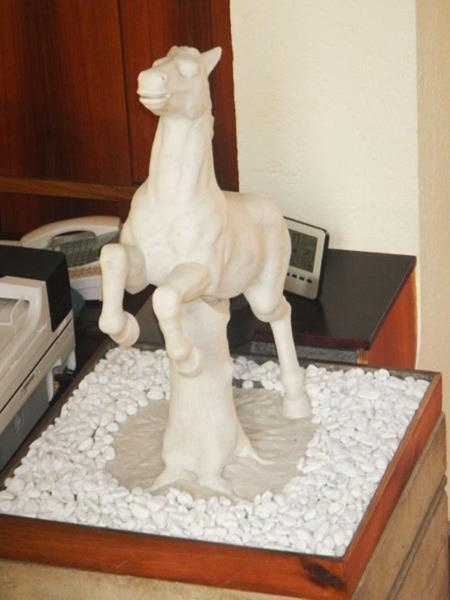 Hotel Derby 3*