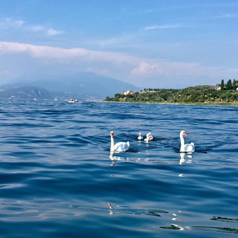 Fiorita Sirmione