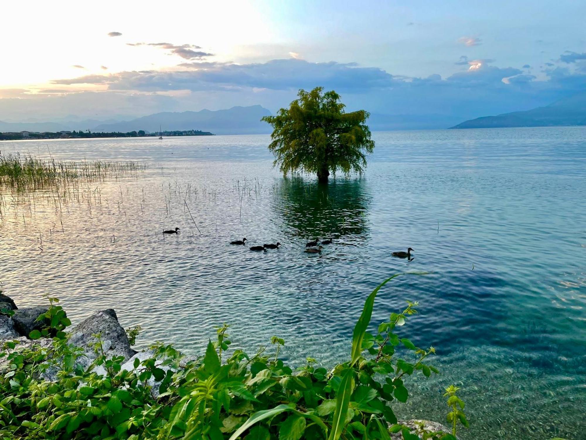 Alfieri Hotel Sirmione