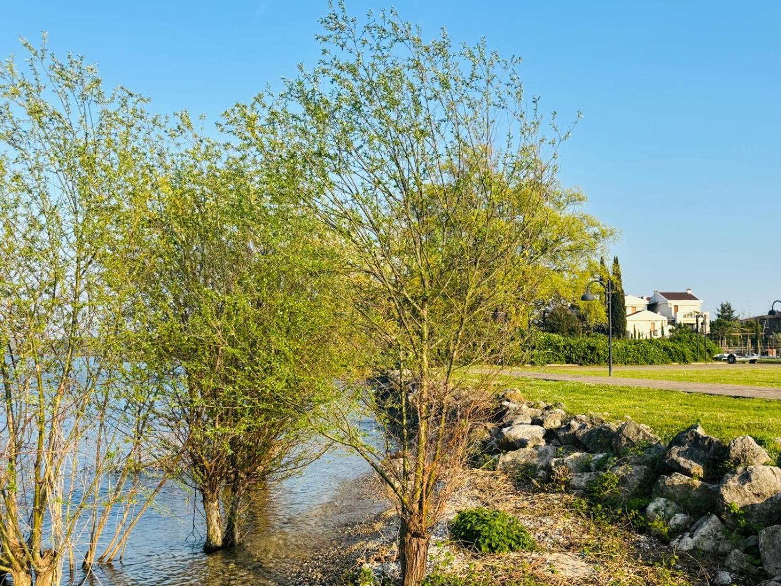 Dalila's Sirmione