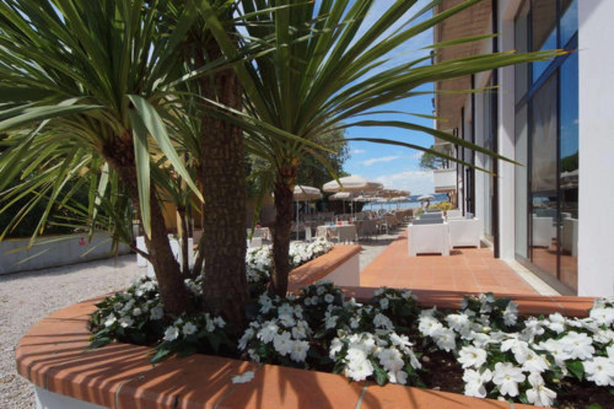 Hotel Saviola 3*