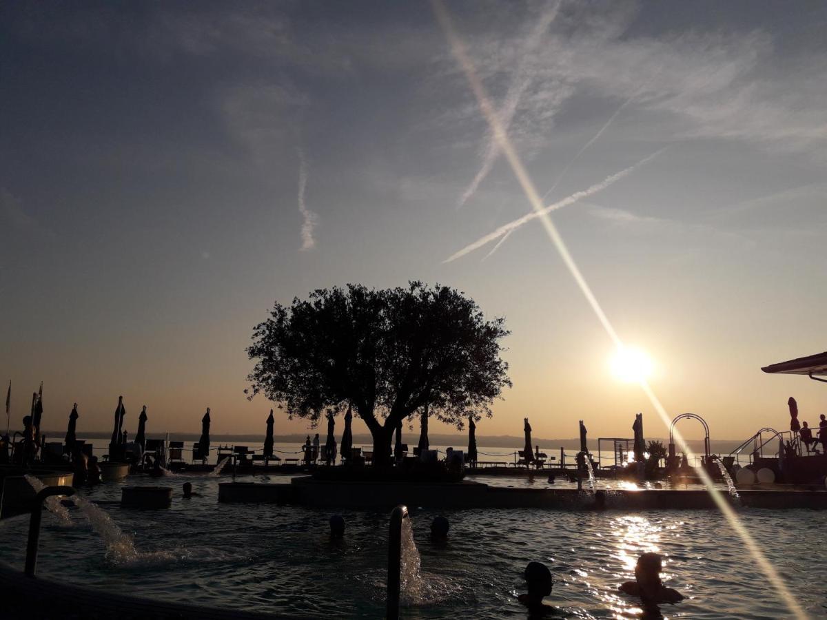 Le Reve - View