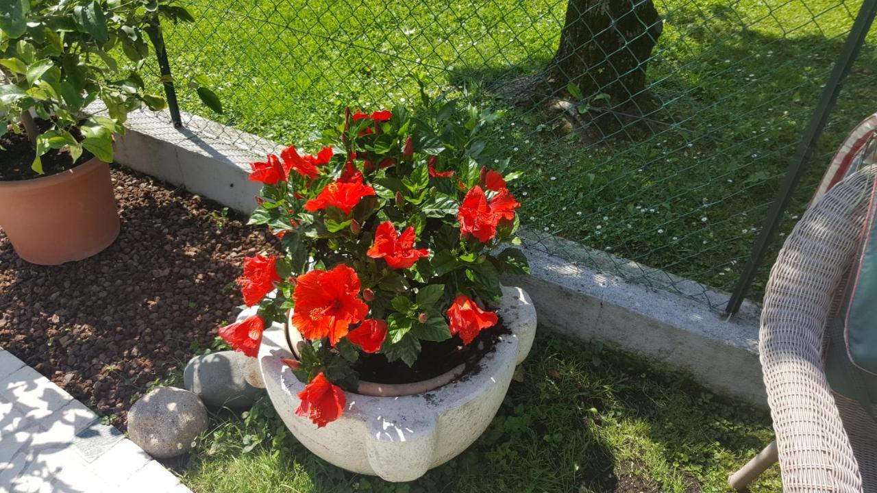 Casa Gaia - *