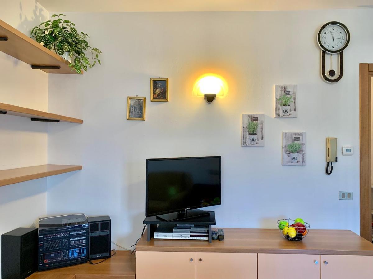 Camelia Apt